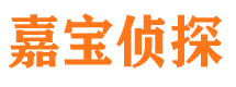 临港市调查公司